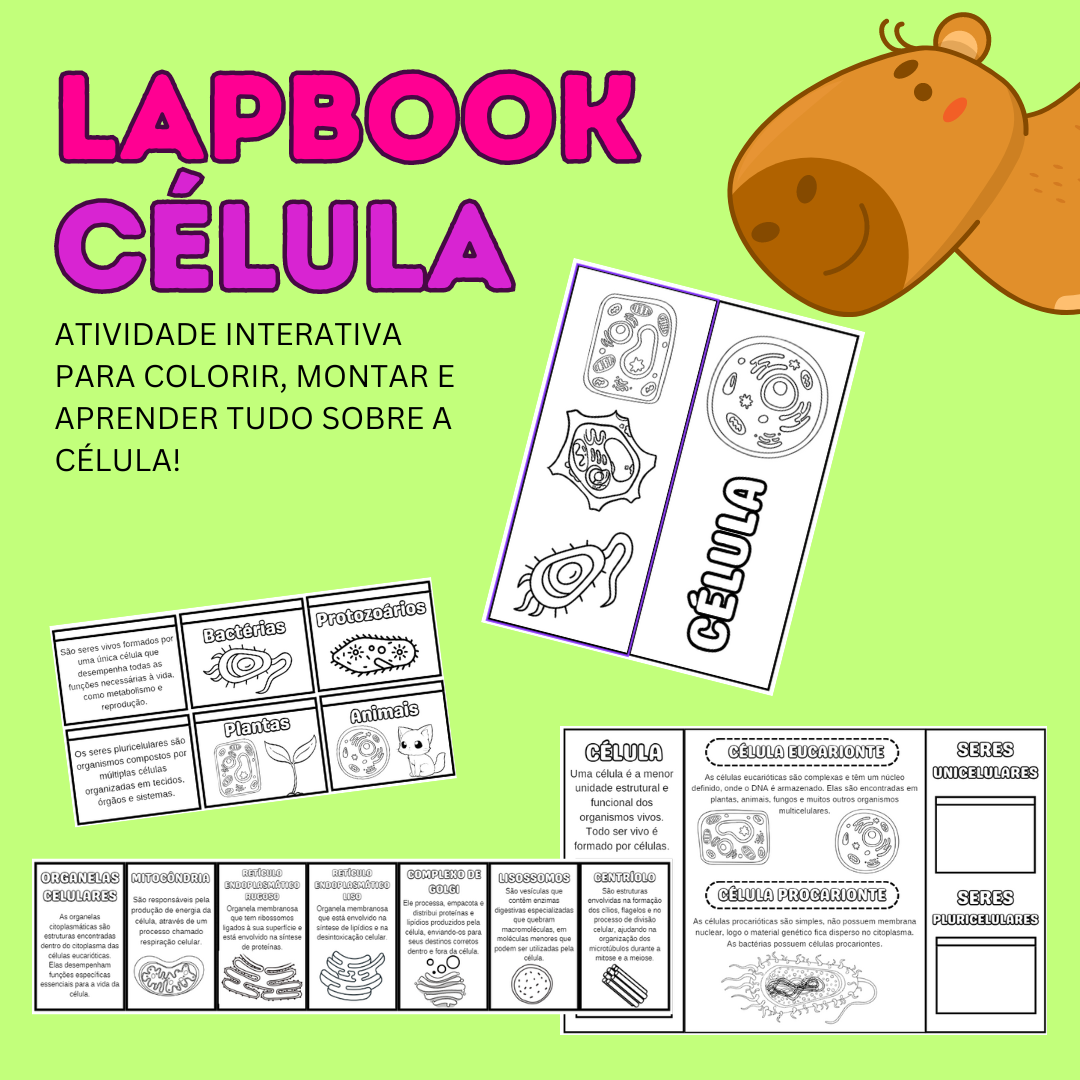 LAPBOOK - CÉLULA