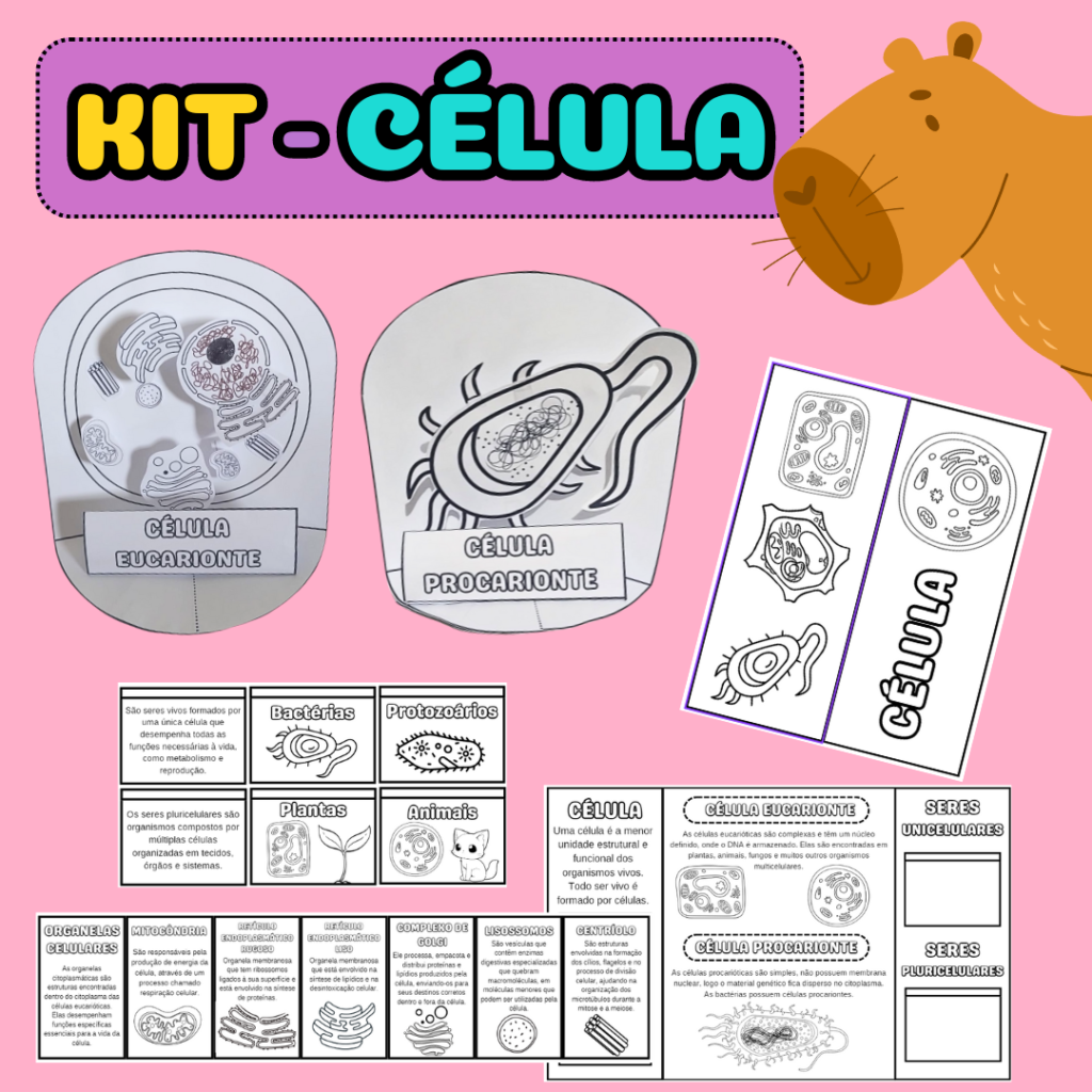 KIT C LULA Capivara Pedag gica Kit c lula capivara pedag gica