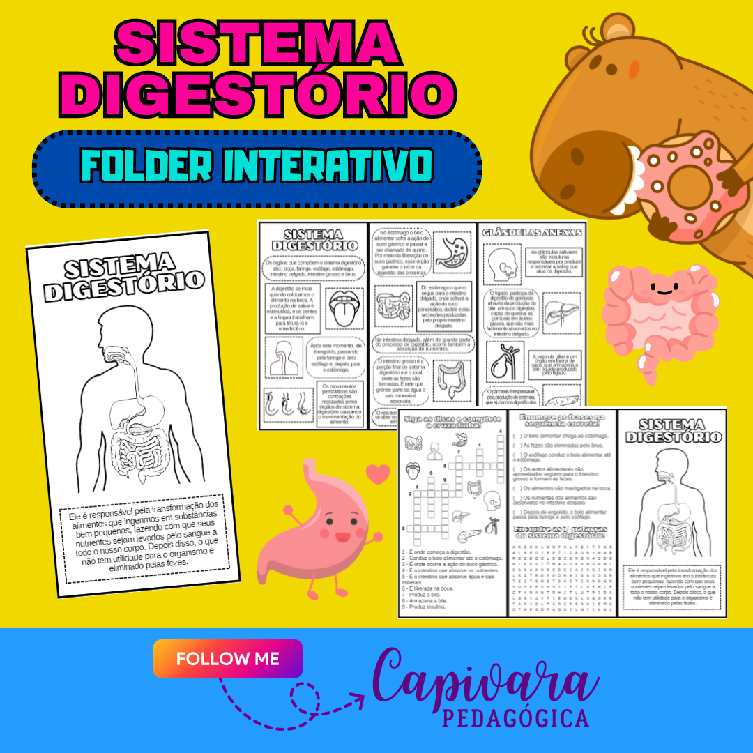 FOLDER INTERATIVO - SISTEMA DIGESTÓRIO