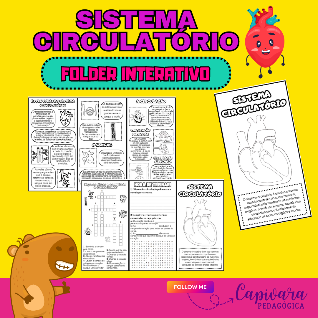 FOLDER INTERATIVO – SISTEMA CIRCULATÓRIO
