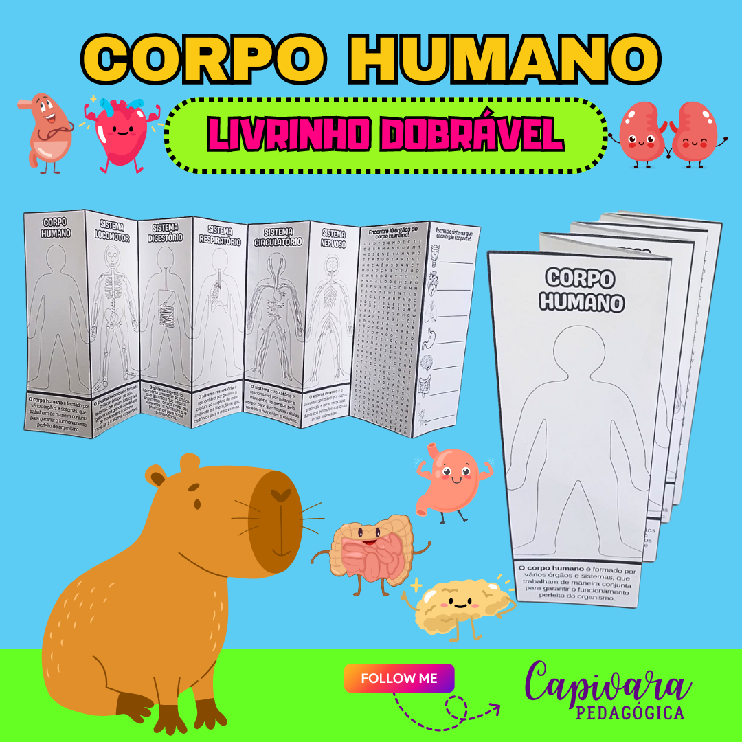 LIVRINHO DO CORPO HUMANO
