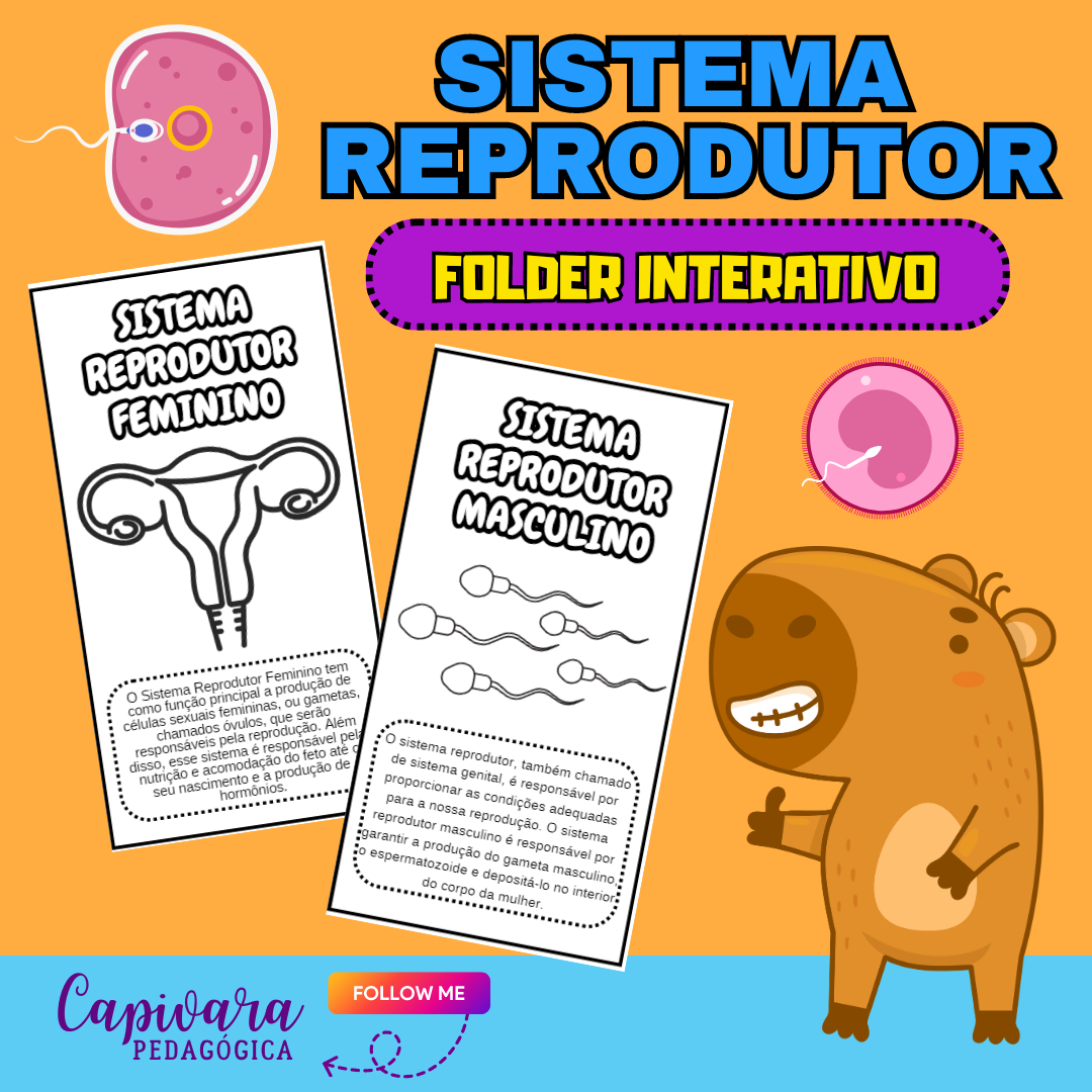 KIT FOLDERS - SISTEMA REPRODUTOR