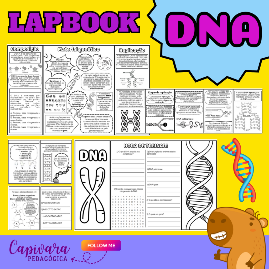 KIT DE ATIVIDADES – DNA – Capivara Pedagógica