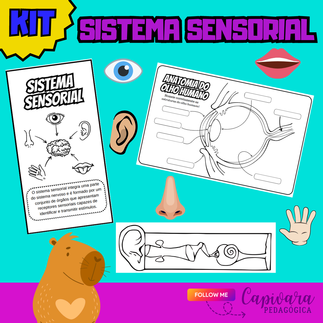 KIT - SISTEMA SENSORIAL