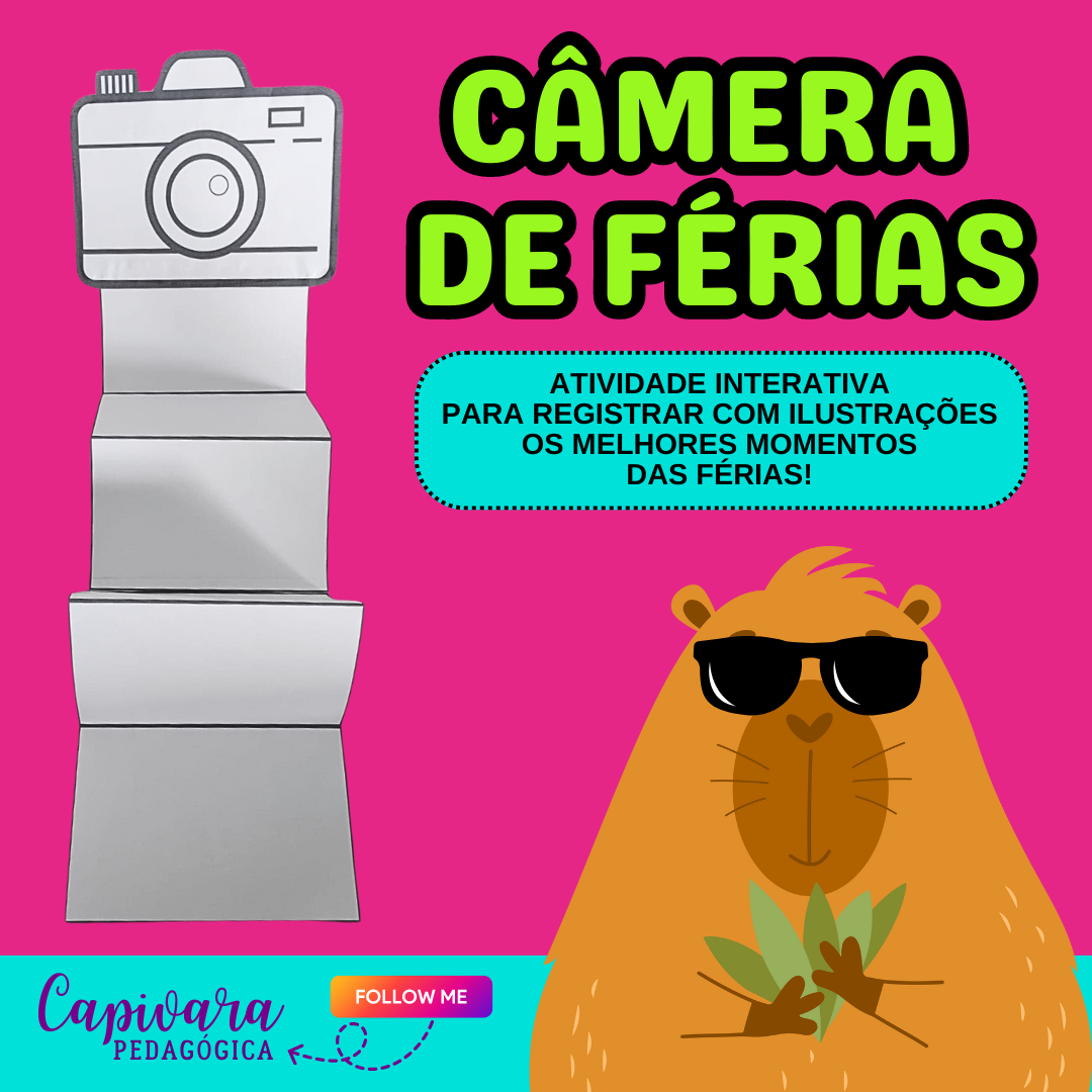 CÂMERA DE FÉRIAS