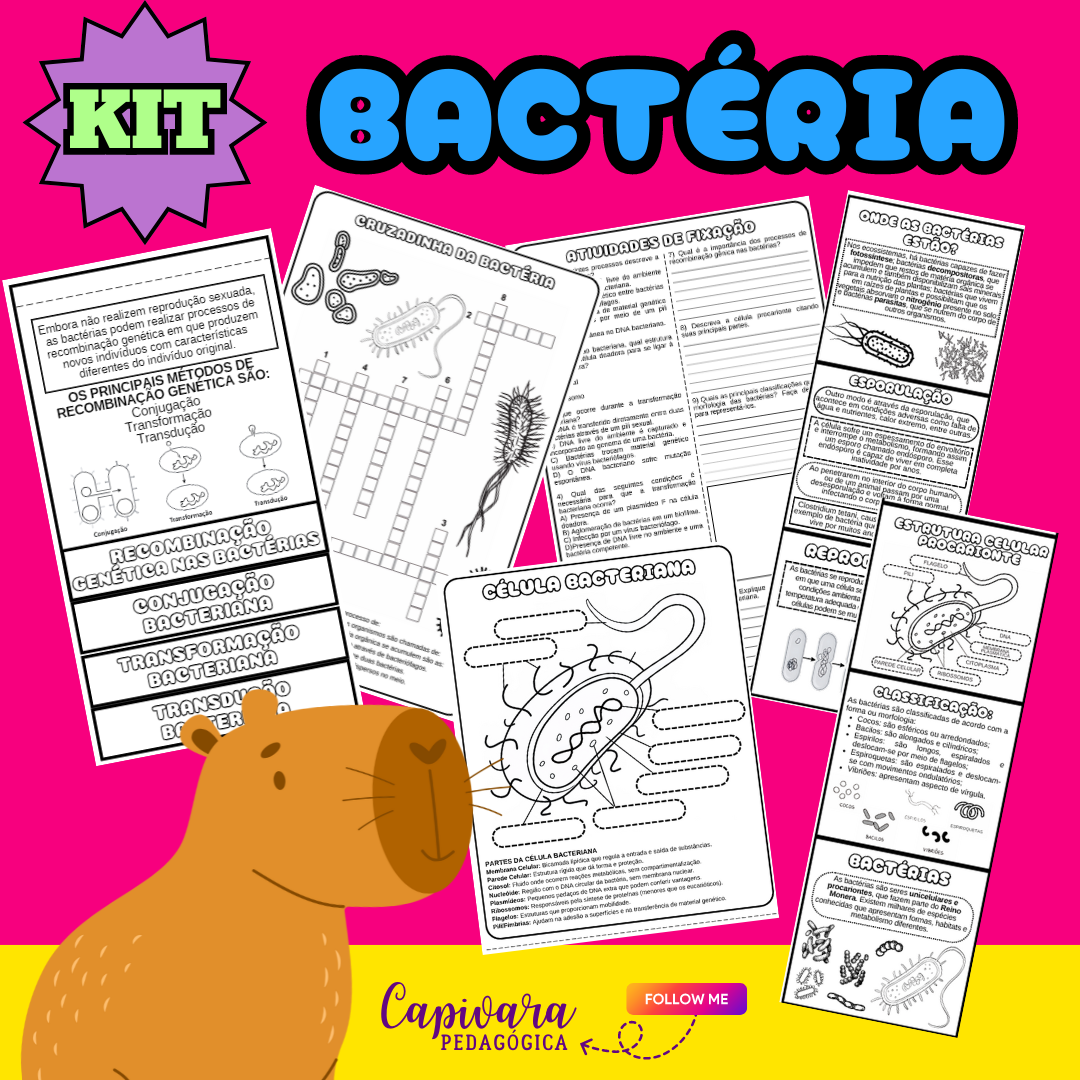 KIT - BACTÉRIA