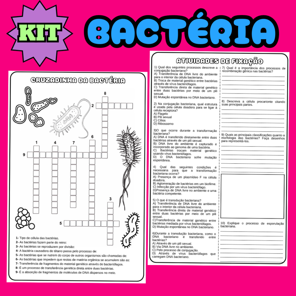 Atividade Sobre Virus E Bacterias 7 Ano - BINKEDU