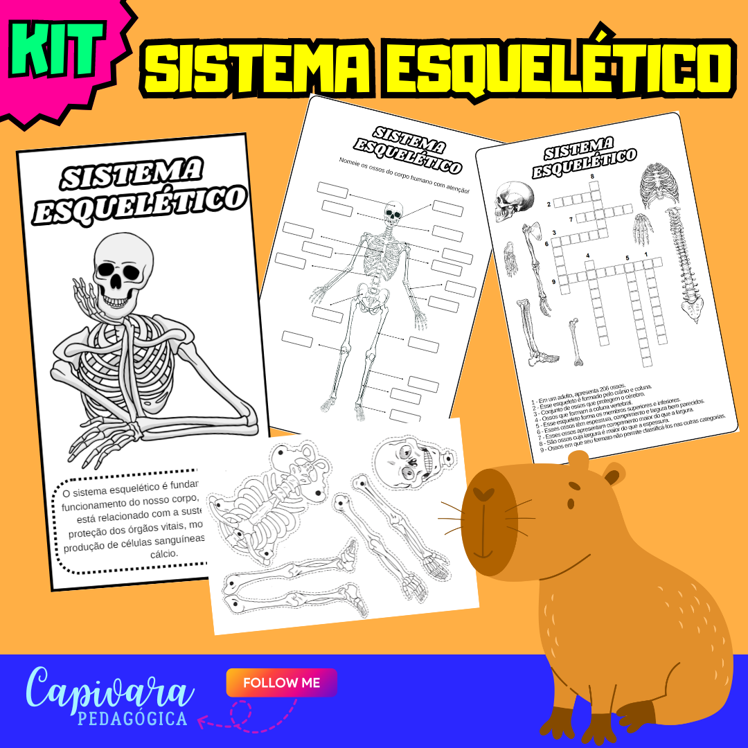 KIT - SISTEMA ESQUELÉTICO