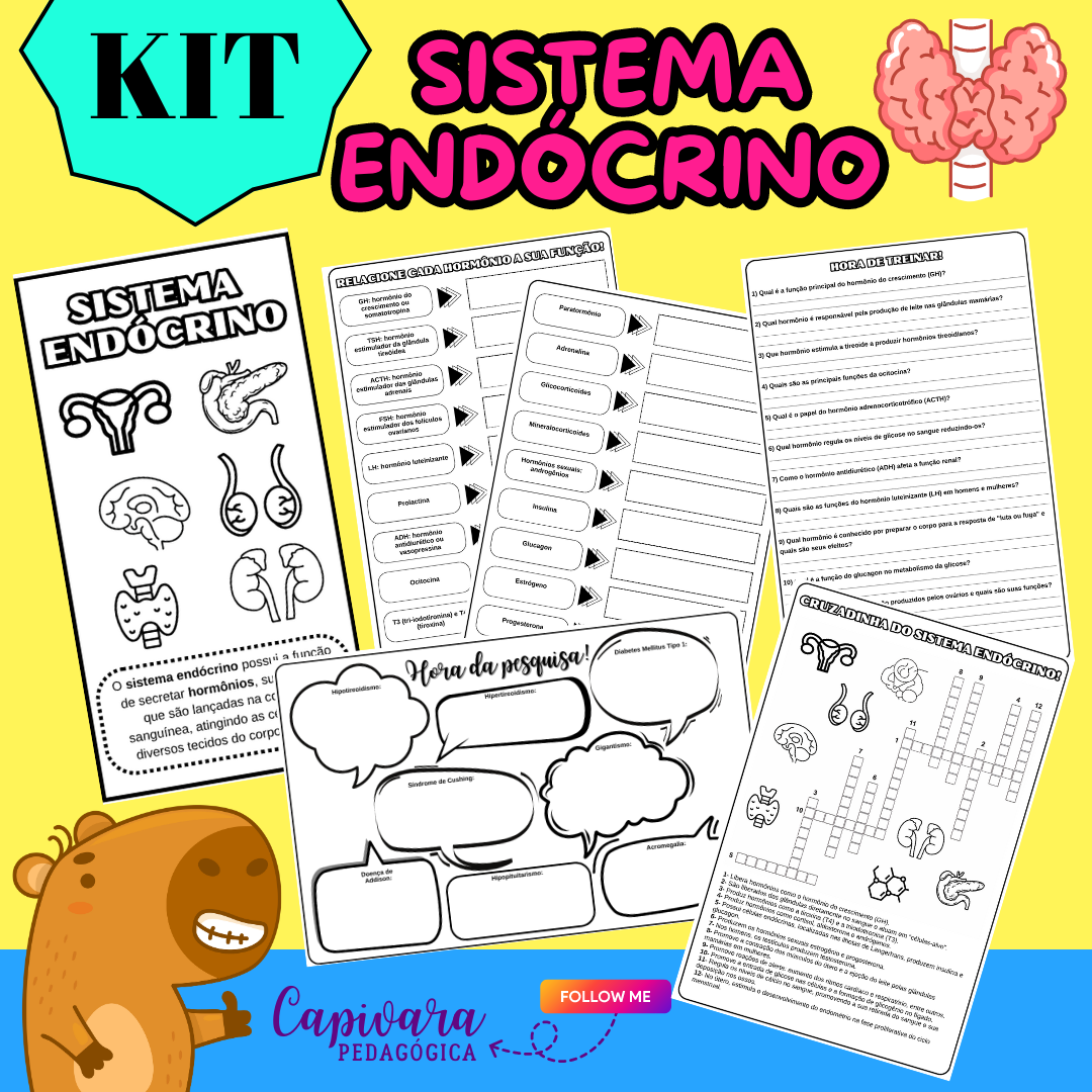 KIT - SISTEMA ENDÓCRINO