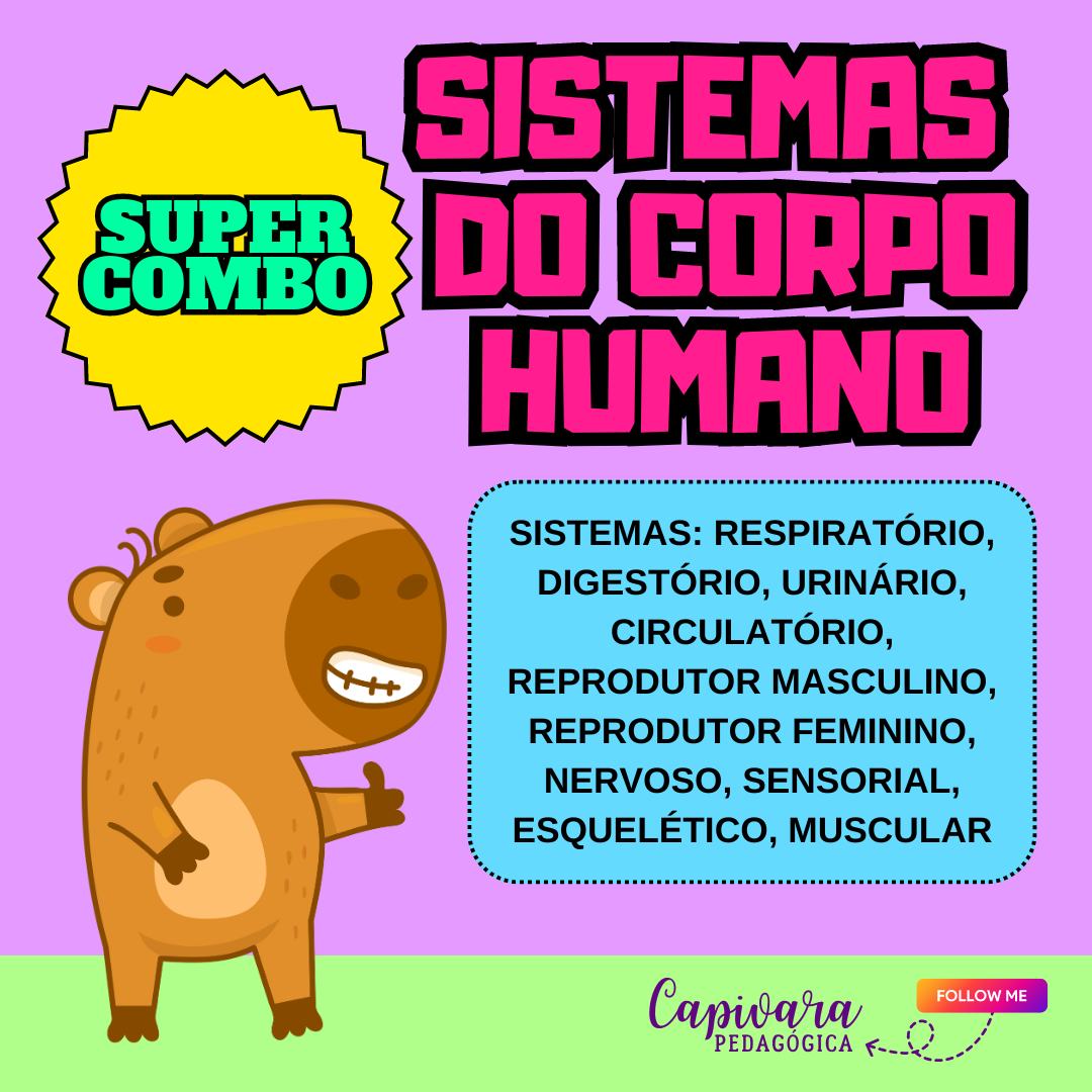 SUPER COMBO - SISTEMAS  DO CORPO HUMANO