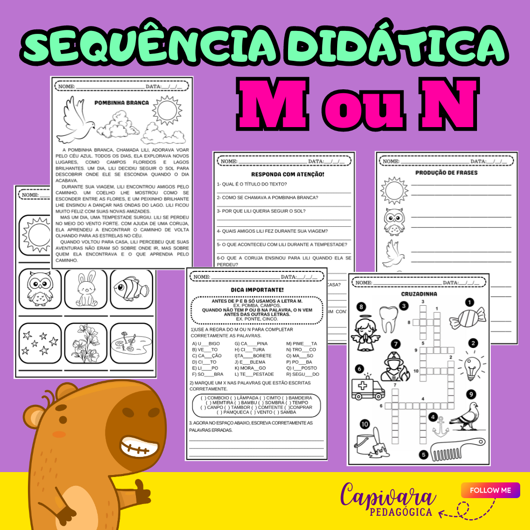 SEQUÊNCIA DIDÁTICA M OU N