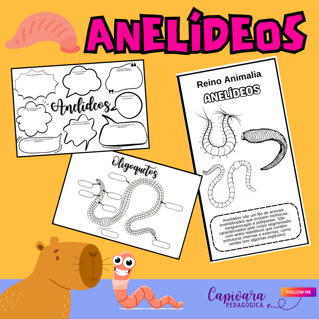 KIT ANELÍDEOS