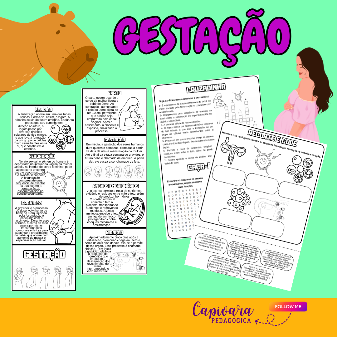 GESTAÇÃO