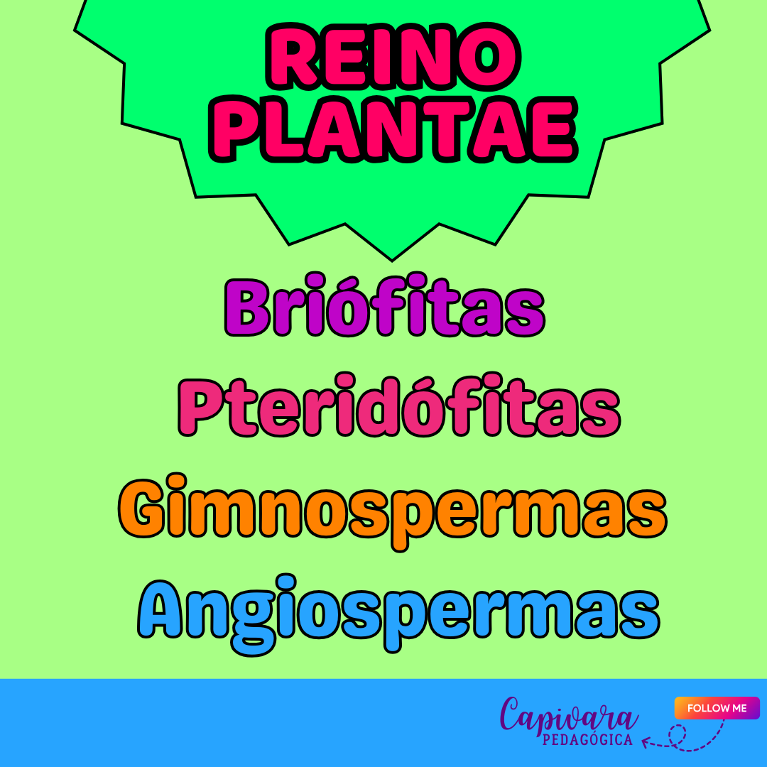 SUPER COMBO - REINO DAS PLANTAS