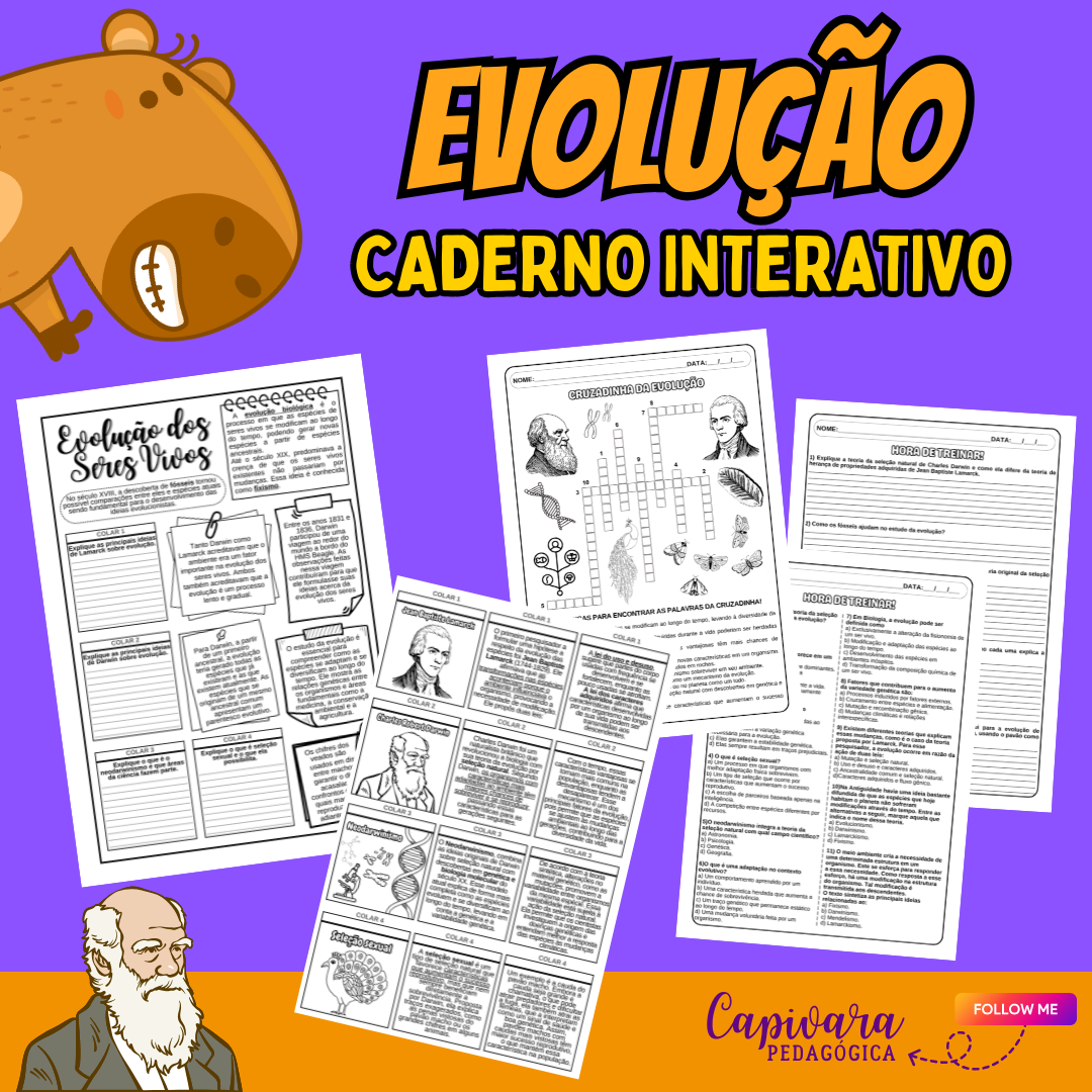 CADERNO INTERATIVO - EVOLUÇÃO