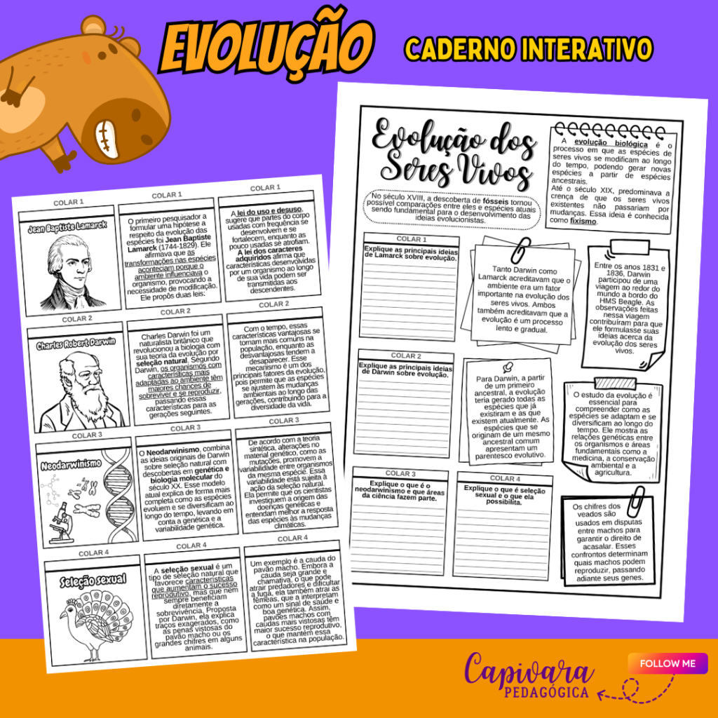 CADERNO INTERATIVO – EVOLUÇÃO – Capivara Pedagógica