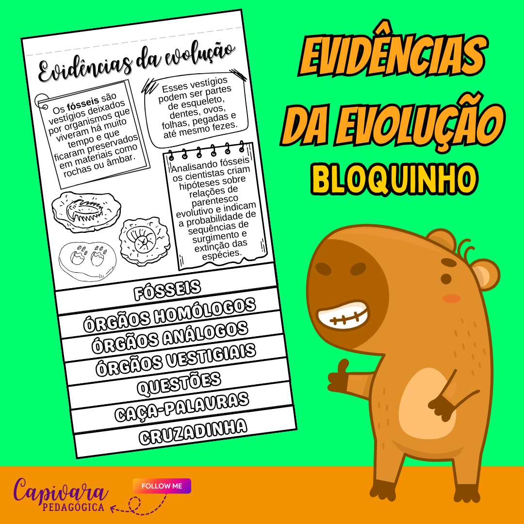 BLOQUINHO - EVIDÊNCIAS DA EVOLUÇÃO