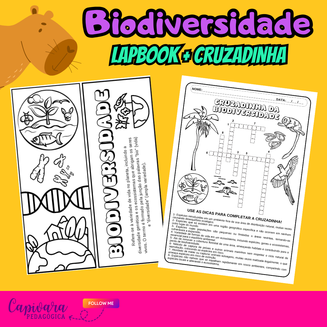 LAPBOOK - BIODIVERSIDADE