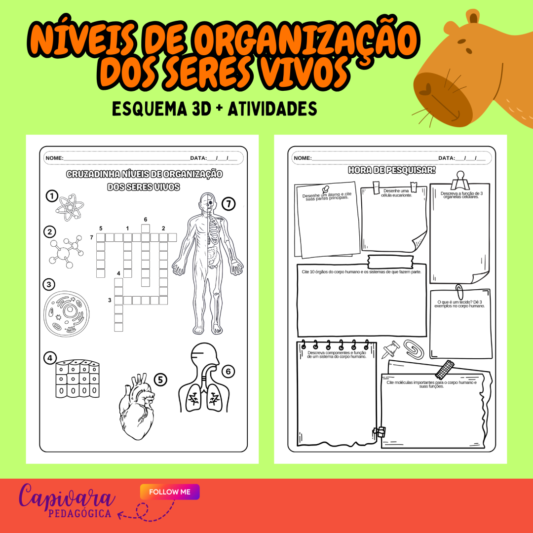 NÍVEIS DE ORGANIZAÇÃO DOS SERES VIVOS - Imagem 2