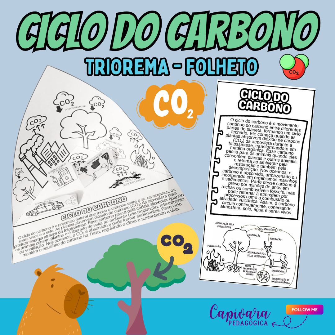 KIT - CICLO DO CARBONO