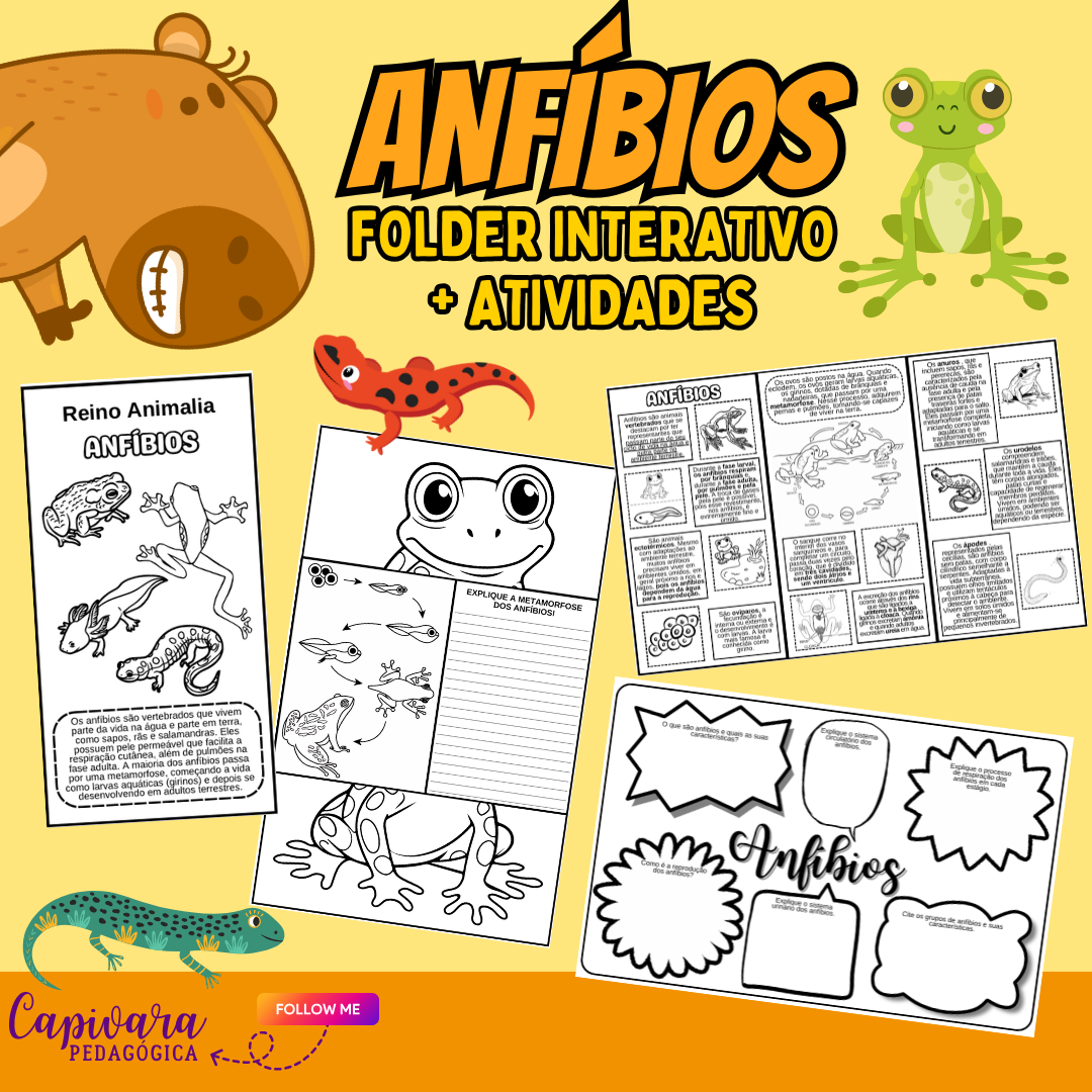 KIT - ANFÍBIOS