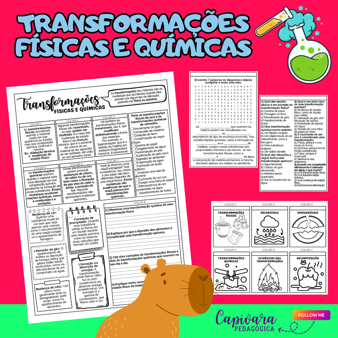 CADERNO INTERATIVO - TRANSFORMAÇÕES QUÍMICAS E FÍSICAS