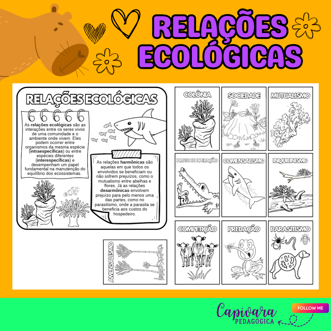 CARTÃO INTERATIVO – RELAÇÕES ECOLÓGICAS – Capivara Pedagógica