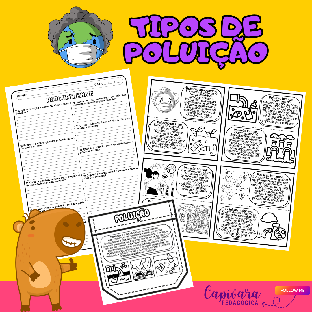 VIRA VIRA - TIPOS DE POLUIÇÃO