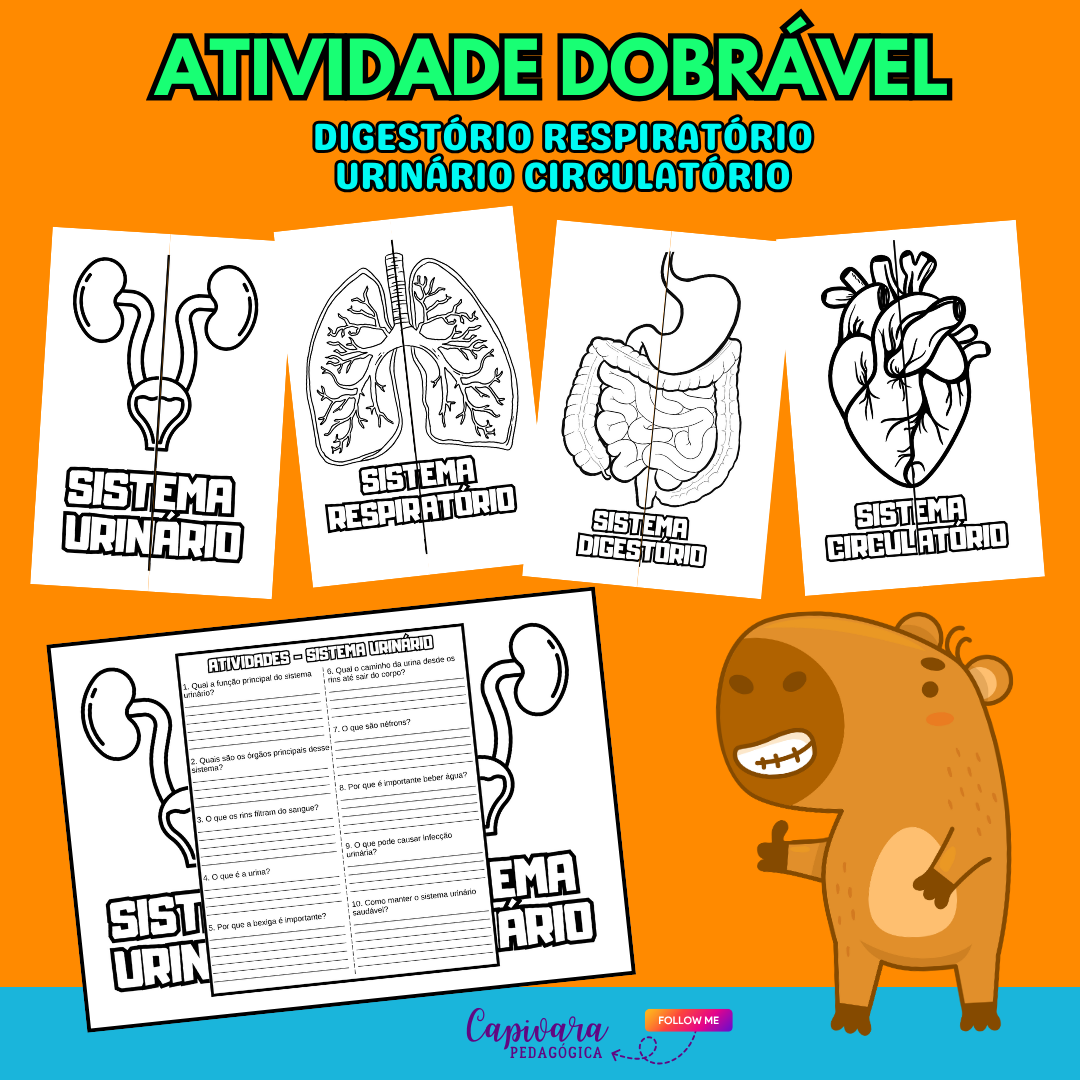 ATIVIDADE DOBRÁVEL - SISTEMAS