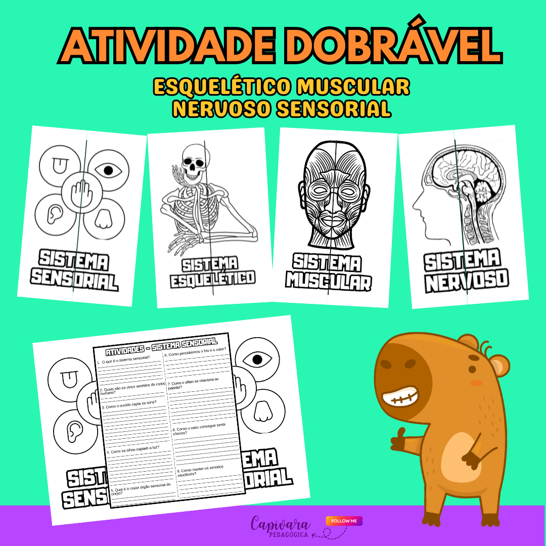 ATIVIDADE DOBRÁVEL - SISTEMAS