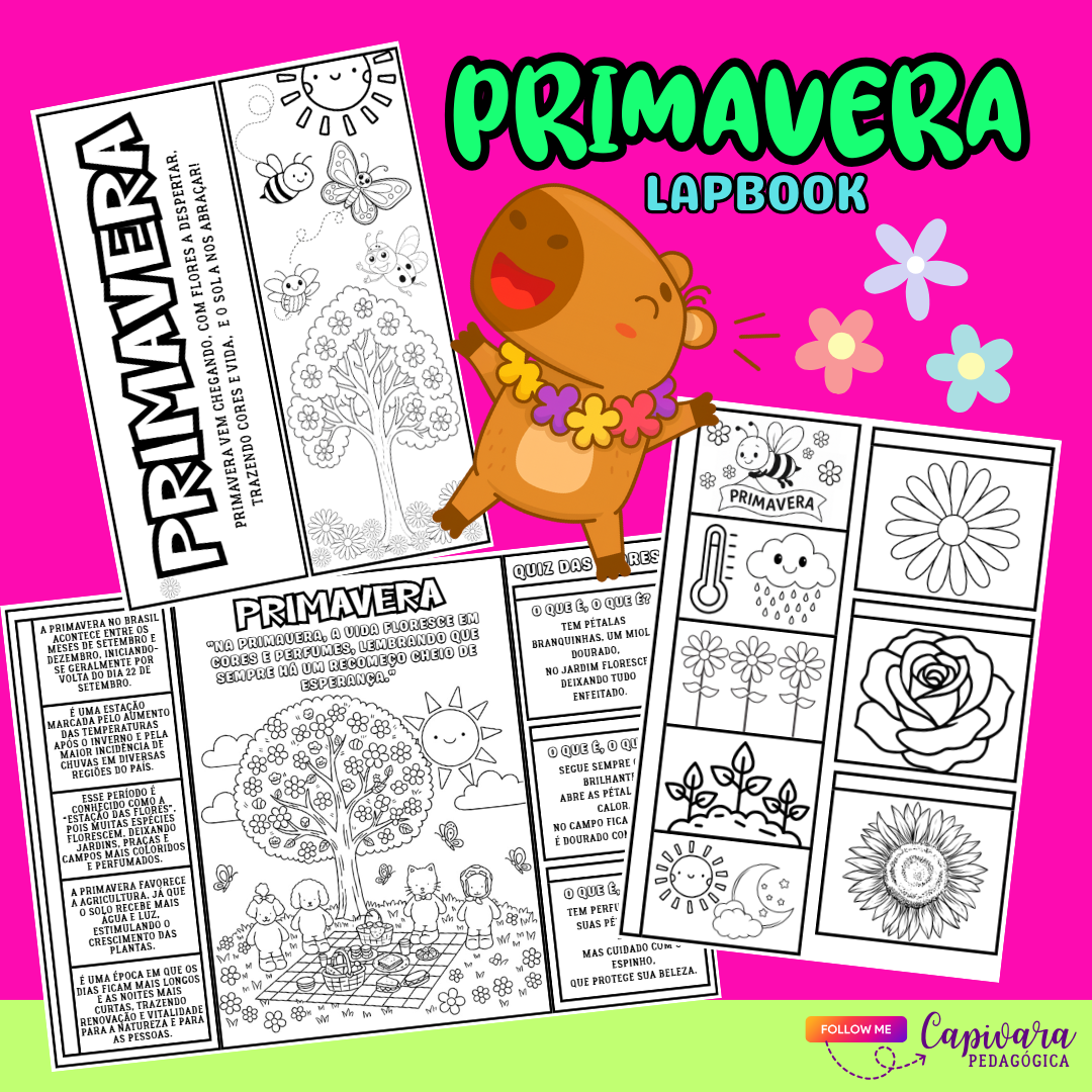 LAPBOOK PRIMAVERA