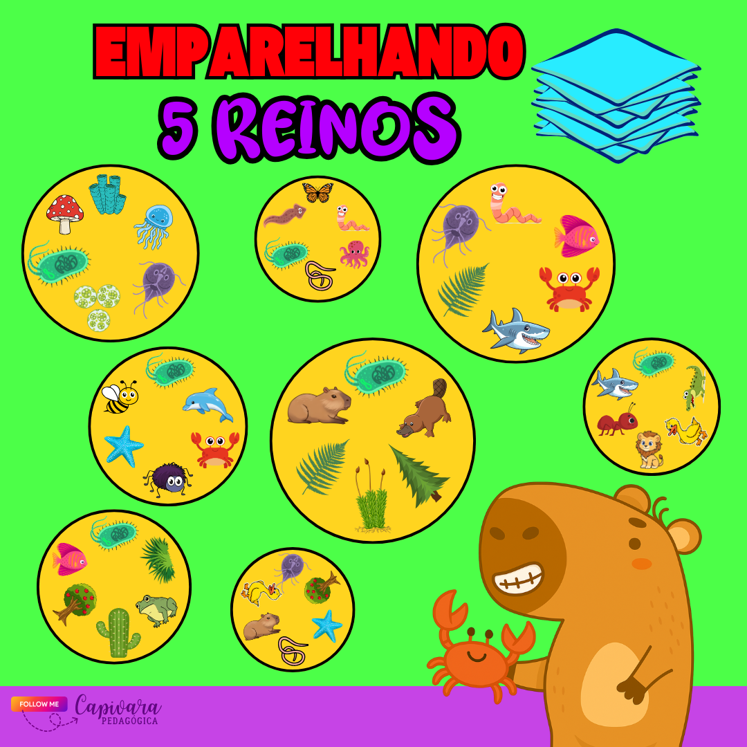 EMPARELHANDO - 5 REINOS
