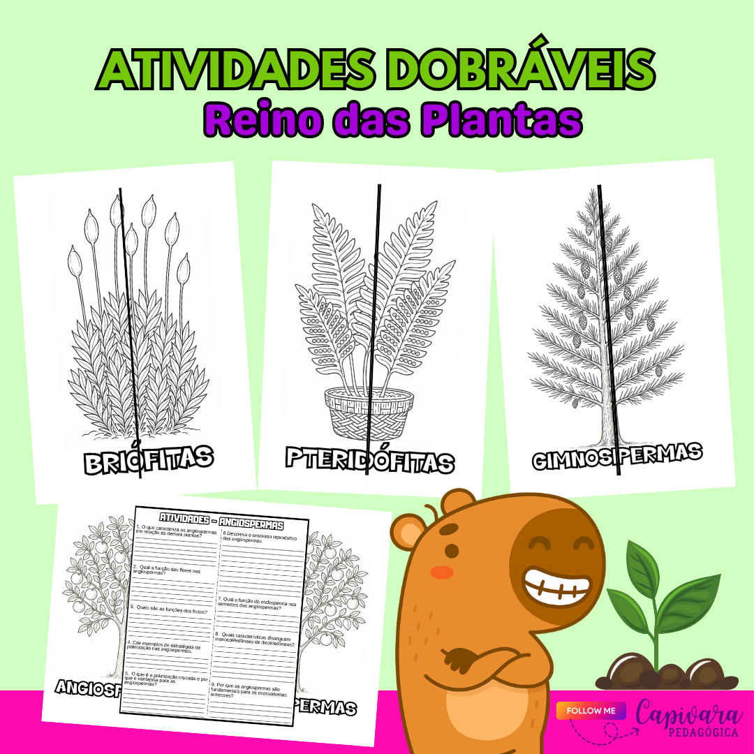 ATIVIDADES DOBRÁVEIS - REINO DAS PLANTAS