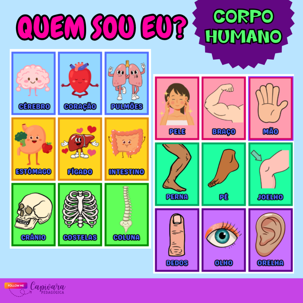 JOGO “QUEM SOU EU?” CORPO HUMANO – Capivara Pedagógica